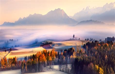 fall morning mist switzerland sunrise mountain forest valley