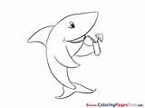 Shark Sheet Coloring Colouring Pages Title sketch template