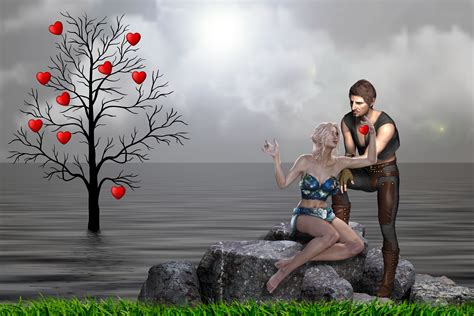 free images fantasy design love romantic water tree photography