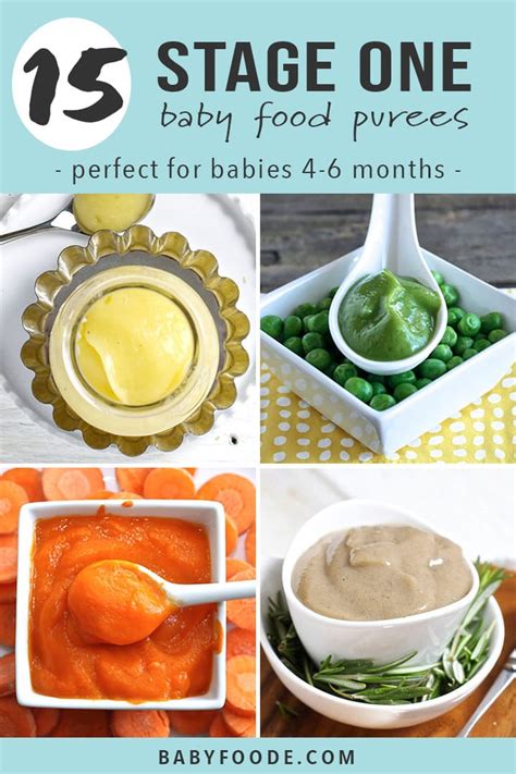 stage  baby food purees   months baby foode