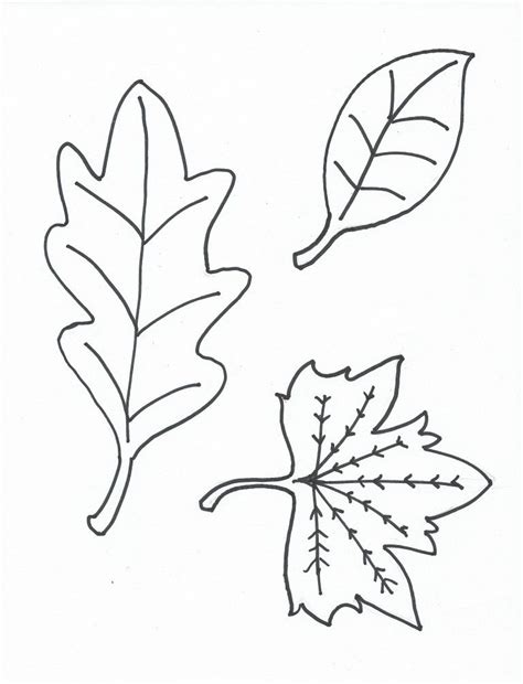 leaf coloring pages  preschool
