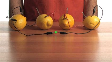 lemon battery science project ideas