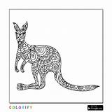 Coloring Kangaroo Pages Color Choose Board Adult sketch template
