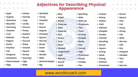 adjectives  describing physical appearance  head  toe word
