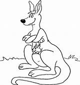 Kangaroo Coloring Pages Coloring4free Joey Pouch Kid Cute Holds Colour Its Drawing Wallpaper Related Posts sketch template