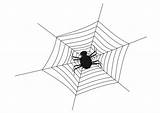 Spider Web Coloring Pages sketch template