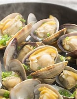 Image result for clam. Size: 157 x 200. Source: www.misterfishinc.com