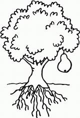 Tree Coloring Bare Popular sketch template