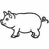 Coloring Pig Template Pages Outline Drawing Print Animal Templates Farm Vector Printable Draw Kids Animals Clipart Mini Patterns Corner Craft sketch template