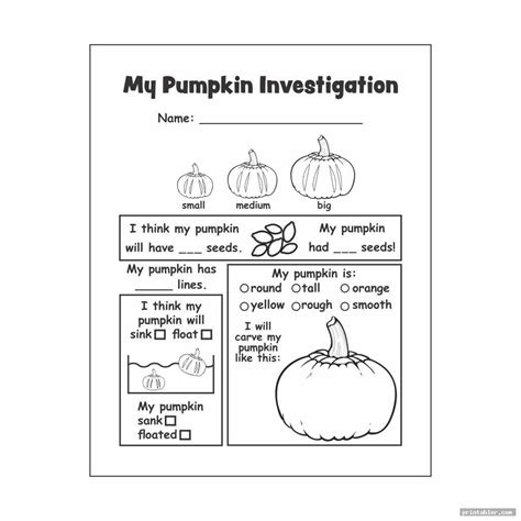 printable pumpkin investigation worksheet