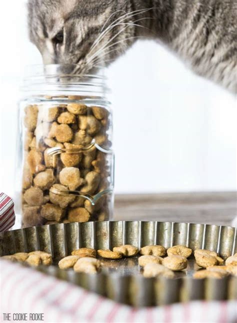 Homemade Cat Treats Recipe 3 Ingredient Salmon Cat Treats