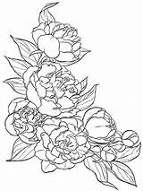 Coloring Peony Pages Flower Color Flowers Drawing Pattern Tattoo Print Getcolorings Line Visit Sketches Getdrawings перейти Printable Mandala Template sketch template