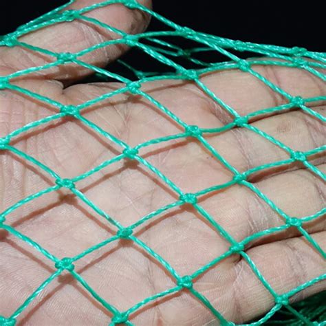 top  fishing nets        shipping ieli