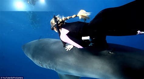 ocean ramsey the chilling moment a fearless diver swims directly into the path of a great white