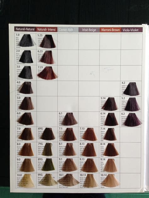 Oem Hair Dye Color Chart Salon Hair Color Chart Buy Hair Color Chart
