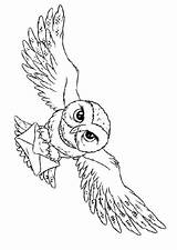Potter Harry Coloring Hedwig Owl Pages Cartoon Gif sketch template