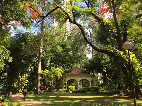 makati parks finding refuge   midst   corporate jungle