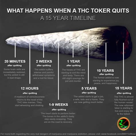 What Happens When You Quit Smoking Weed Timeline