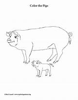 Pigs sketch template