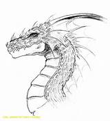 Drachen Dragon Bleistift Drache Drachenkopf Skizze sketch template