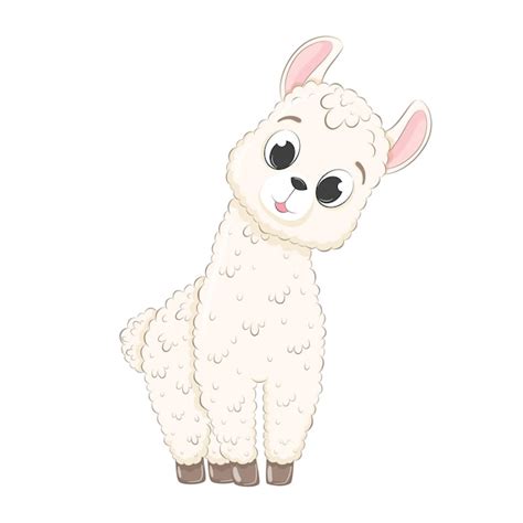 premium vector cute baby llama