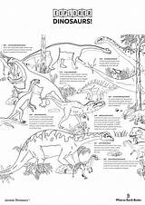 Fossils Dinosaurs Earth Bug sketch template