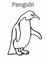 Penguin Coloring Pages Baby Getcoloringpages Printable Cute sketch template
