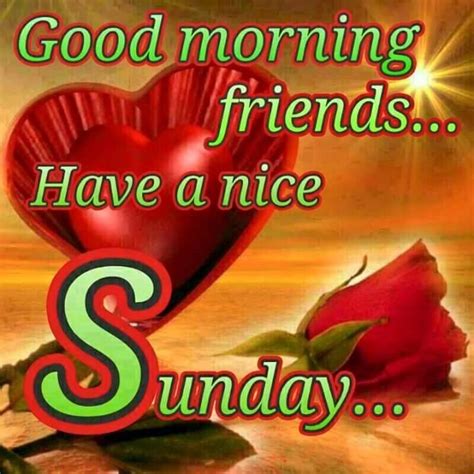 good morning wishes  sunday pictures images