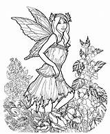 Coloring Pages Fairy Adults Celtic Adult Printable Detailed Intricate Colouring Fall Fairies Faerie Sheets Very Getcolorings Kids Color Print Bezoeken sketch template