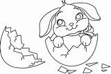 Easter Coloring Egg Bunny Pages Broken Sitting Color sketch template