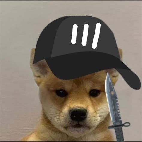 profile photo shiba doge memes riding helmets puppies wallpaper hats animals