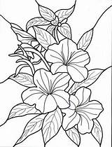 Blumen Malvorlagen Ausmalbilder sketch template