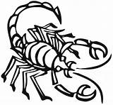 Scorpion Coloring Pages Animals Color Sheet Scorpio Printable Town Animal Print Clipartbest Drawing Popular sketch template