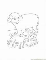 Coloring Mammals Printable Popular Library Clipart sketch template