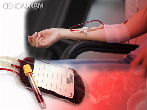 ¿donaciones de sangre segura ciencia unam