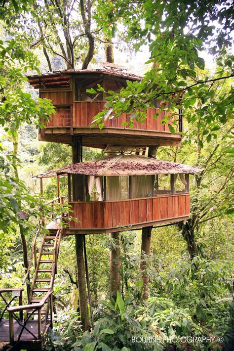 images  tree house  pinterest treehouse hotel swiss