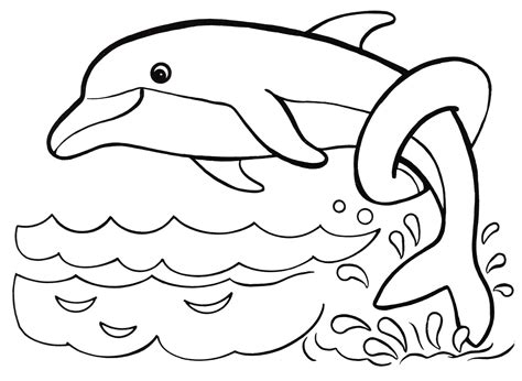 printable coloring pages  dolphins printable word searches