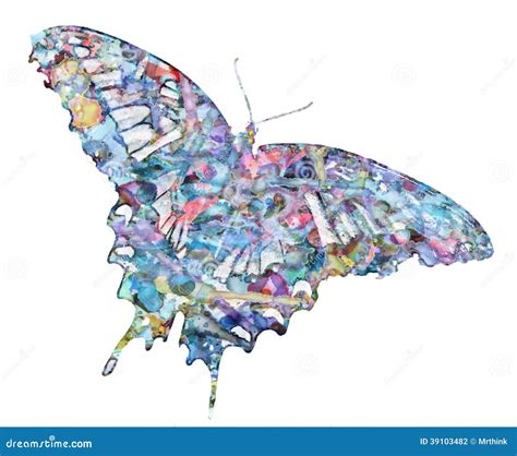 colorfly stock photo image  summer flying wings