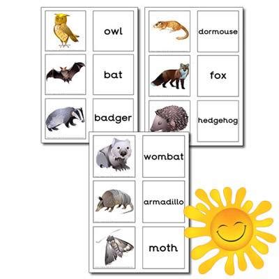 nocturnal animal resources happy learners resources diurnal animals