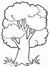 Baum Ausmalbilder Vorlage Ausdrucken Bäume Stammbaum Vorlagen Kinderbilder Coloring4free Angenehm Beeindruckend Zeichnung Malvorlagen Zeichnen Auswählen Malvorlagentv sketch template