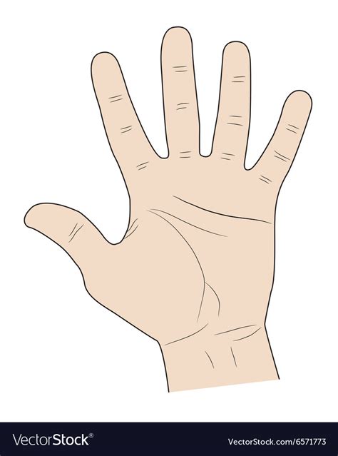 fingers   hand royalty  vector image