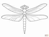 Dragonfly Coloring Pages Drawing Cute Printable Print Supercoloring Colouring Patterns Animal Adult Kids Select Tattoo Mosaic Wings Pencil sketch template