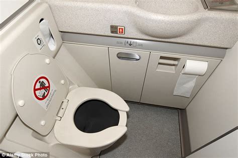 norwegian air passengers caught having sex in plane s toilet daily mail online