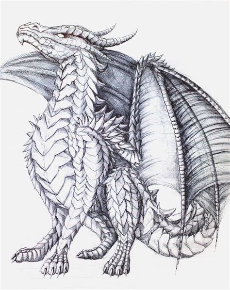 proud  dragon coloring page dragon artwork dragon sketch