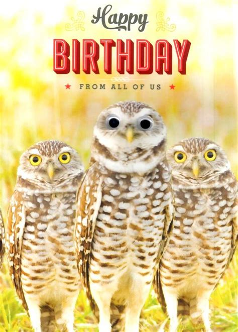 Owls Googlies Happy Birthday Card Cards Love Kates