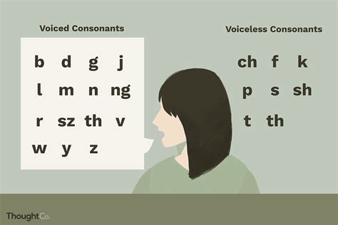 voiced  voiceless consonants