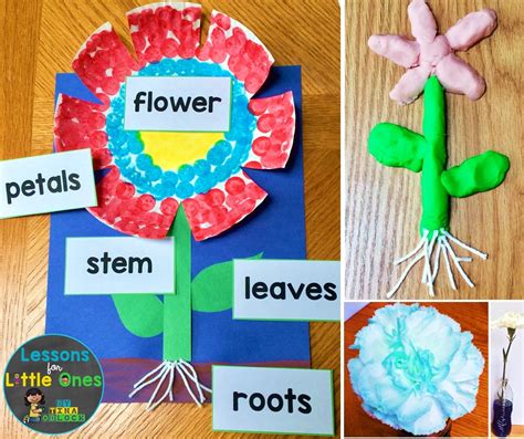 flower science experiments parts   flower activities lessons