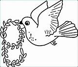 Coloring Pages Bird Flying Parrot Phoenix Birds Tweety Dodo Color Robin Red Getcolorings Printable Pirate Getdrawings Colouring Colorings Print Suns sketch template