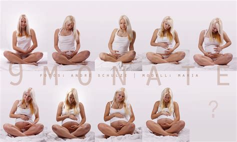 9 monate foto and bild erwachsene schwangerschaft