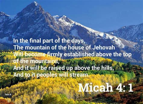 Micah 4 1 Bible Truth Jw Bible Word Of Faith